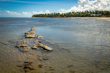 Beaches of Brazil - Maragogi Beach, Alagoas State