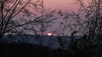 Sonnenuntergang mit Baumsilhouetten