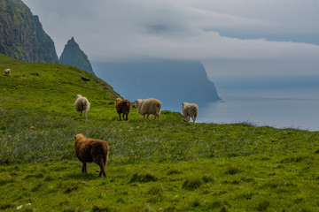 Wyspa Sudoroy na Wyspach Owczych