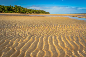Fototapeta na wymiar Beaches of Brazil - Maragogi Beach, Alagoas State