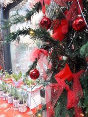 Palle di Natale - addobbare l'albero