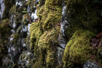 Das Hochland von Schottland