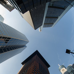 Fototapeta na wymiar view of skyscrapers in the citiy of Frankfurt Germany