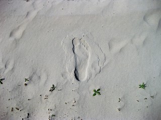 footprints in the sand