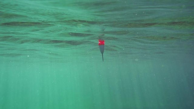 Underwater view of fishing float moving on water surface