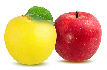 Fresh apples isolated on white background with clipping path