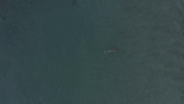 ABali; Indonesia; Ubud; Asia; man in water; alone in water; swimming man; aerial; drone; asian nature; balinese people; earth; landserial view of man swimming in clear blue sea ocean, Bali, Indonesia.