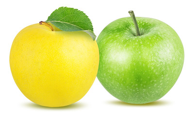 Fresh apples isolated on white background with clipping path