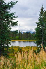 Denali National Park, Alaska Landscape Photography, Mountain Range, Dramatic Sky, Pacific North West, Tranquil Wilderness