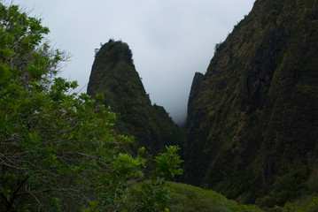 Maui landscape