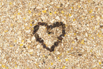 Muesli with oats, raisins, banana and pipes