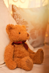 Cute little toy brown teddy bear sitting on a sofa