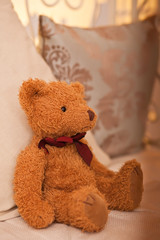 Cute little toy brown teddy bear sitting on a sofa
