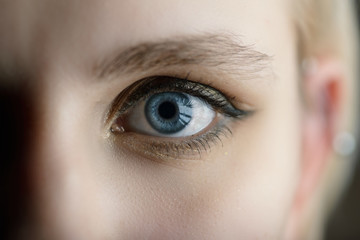 Blue iris eye. Macro shot.