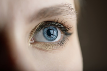 Fototapeta premium Blue iris eye. Macro shot.