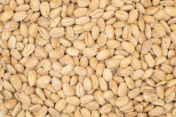 Salted roasted almonds in bulk