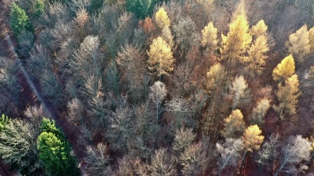 Felder - Wald - Wiesen - Kamerafahrt