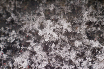 Macrophotography of snowflakes on a black background. Snowflake lies on the black surface, large