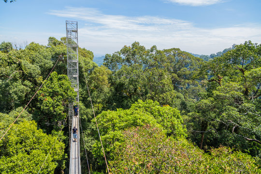 Ulu Temburong National Park