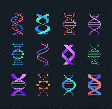 DNA molecule - line design style vector elements