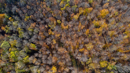 Herbst auf der Schwäbischen Alb - Luftbild