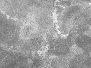 Light gray concrete wall texture for background. Cracked cement grunge texture.