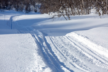 Fototapeta na wymiar Track for winter sports. Road for snowmobiles, dog sledding and skiing. Close-up. Selective focus