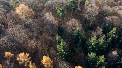 Herbst auf der Schwäbischen Alb - Luftbild