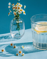 A glass of water with a slice of lemon in a hard light with beautiful shadows on a blue background. Vase with white daisies on a blue background.