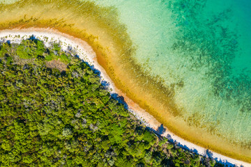 Adriatic coast in Croatia, pine forest and blue lagoon on Dugi Otok