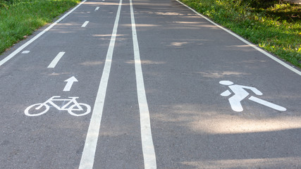 Asphalt path in a park with markings for pedestrians and bicycles