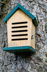 Nichoir à insectes sur un arbre