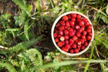 Tasty wild strawberries in a wooden bowl on the grass. View from above.