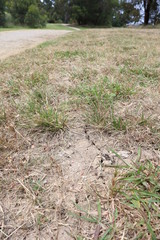 Images that illustrate the Australian drought.