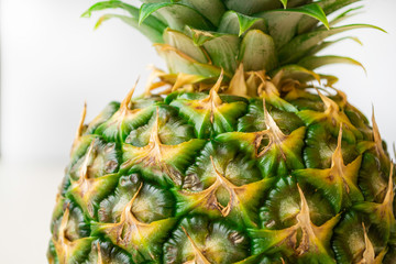 Pineapple top on a light gray background.