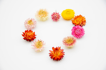 Bright colored flowers are arranged in the shape of a heart