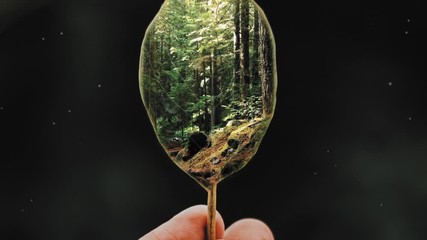 Child hand holding leaf with forest in it. Concept for wild nature, human contact with nature, deforestation, conservation, environment protection.