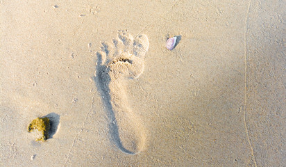 Feet vestige alone on a beach