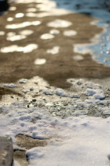 Snow melting under the sunlight. Selective focus.