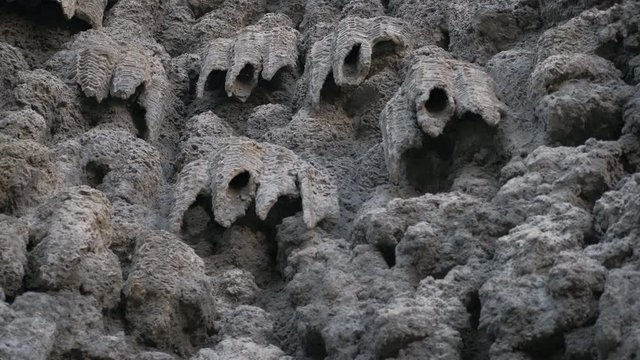 Artificial stalactites. Beautiful artificial rocks.