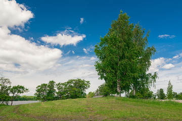 Fototapeta na wymiar Kizhi. rural landscape