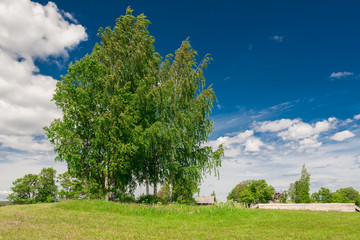 Fototapeta na wymiar Kizhi. rural landscape