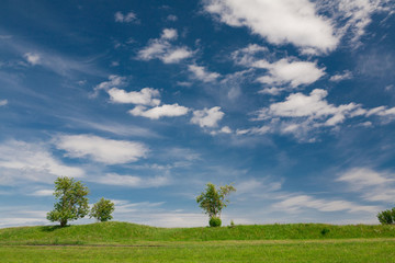 Kizhi. rural landscape