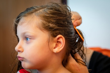 Fototapeta premium cute little girl is being combed by her mother 