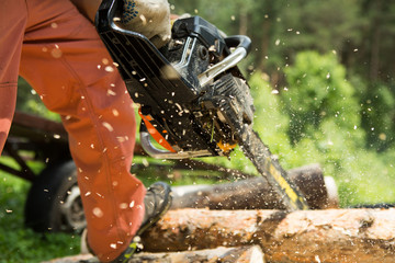 Close up of a lumberjack cutting old wood with a chainsaw.