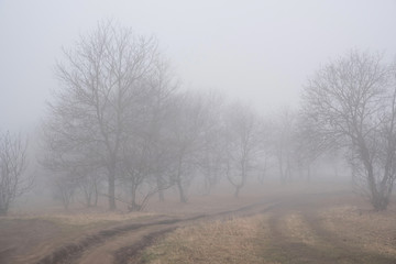 Dark foggy autumn countriside view in morning