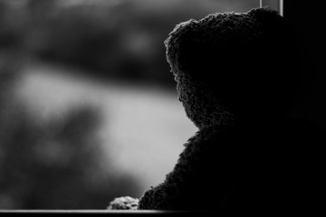 Silhouette windows black and white teddy bear cuddly toy