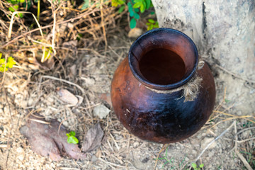 Pot on the date palm. Collection of palm sugar - gur.