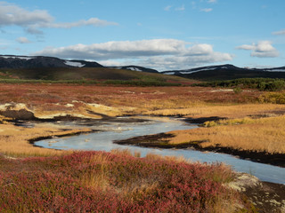 autumn landscape