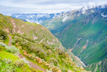 Hiking trail along the deep Colca canyon in Peru, South America